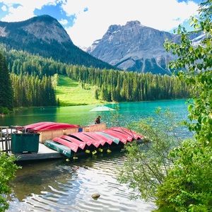 Meet your Posher, Mona